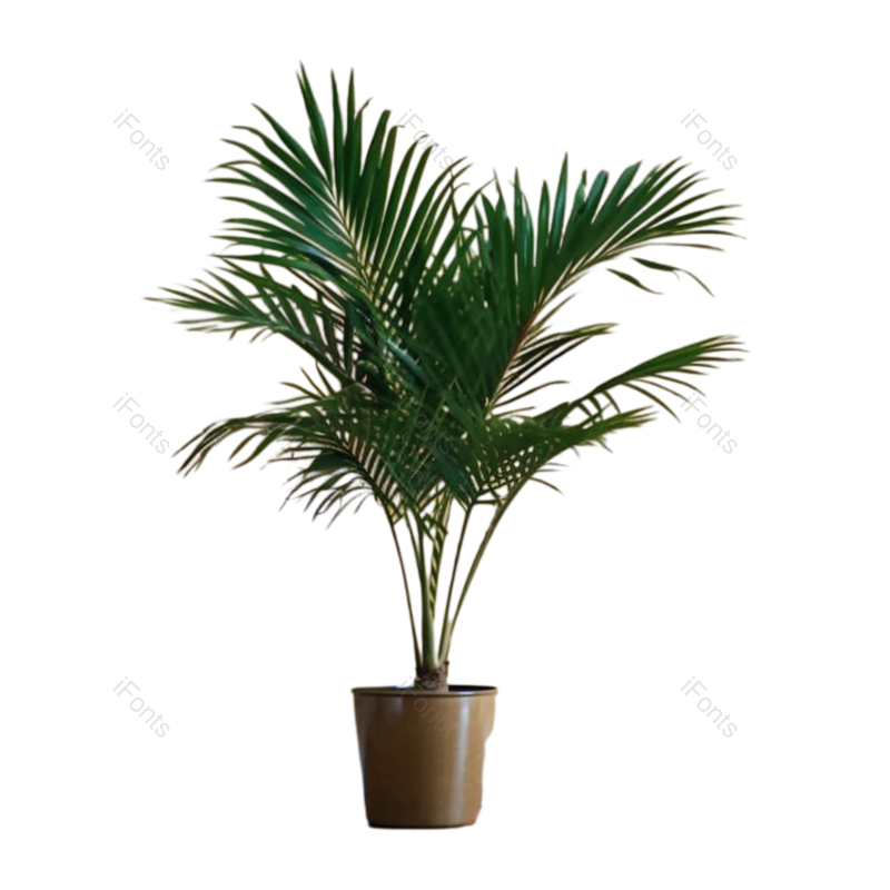 装饰图片,摄影元素,房屋PNG,植物免抠素材